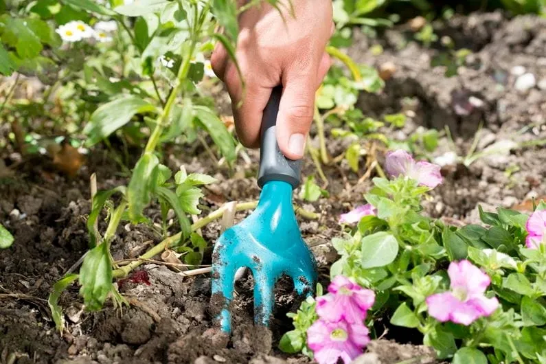 widelki-do-kwiatow-marka-gardena