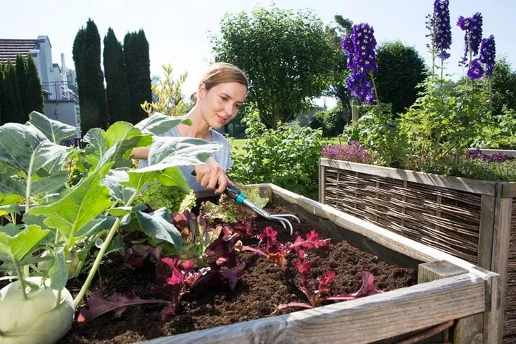 pazurki-material-trzonka-plastic