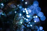 lampki-choinkowe-1000-led-zimny-bialy-programator-kod-producenta-lampki-choinkowe-1000-led-ziemny-bialy