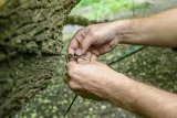 lina-paracord-30-m-4mm-marka-neo-tools