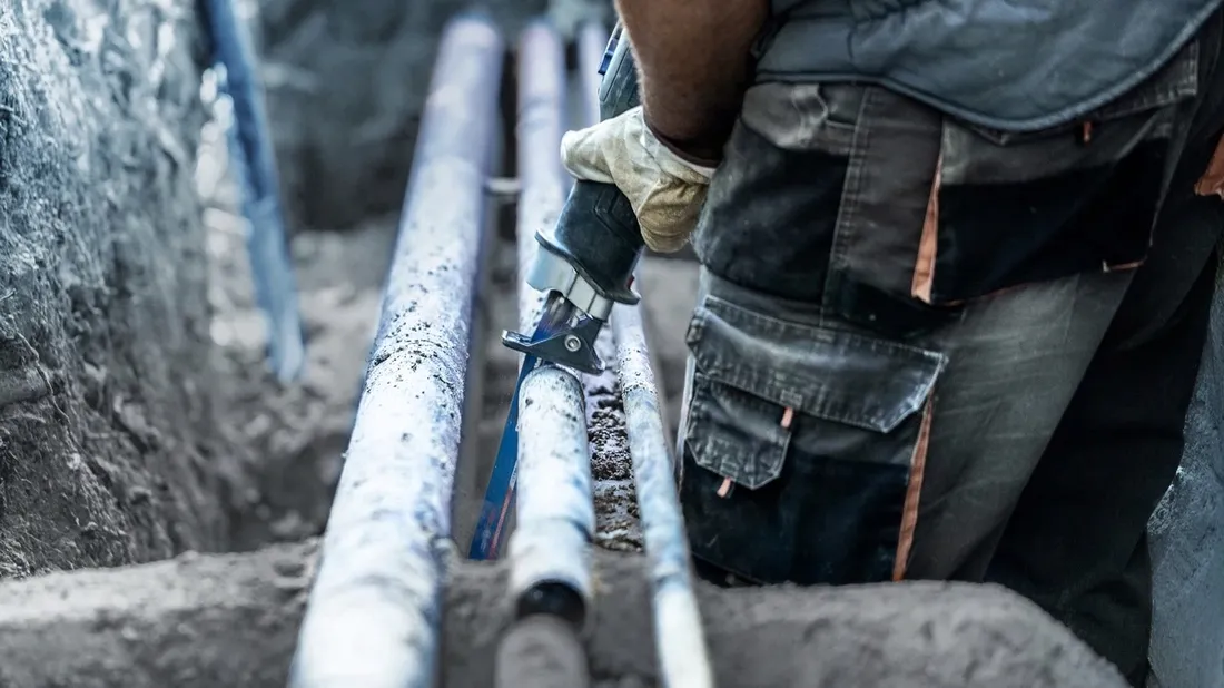 brzeszczot-expert-s955chc