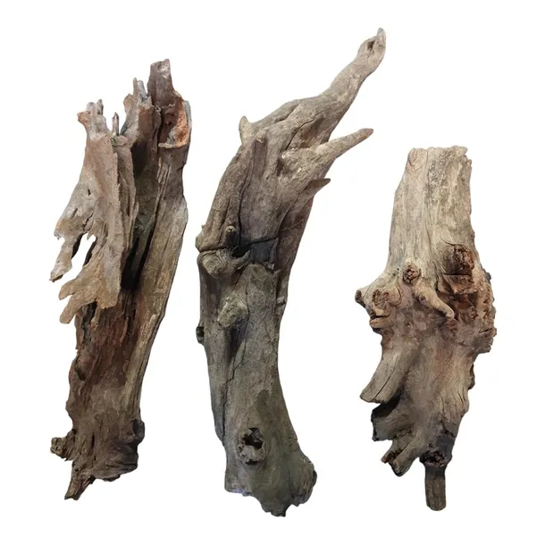 korzen-buddha-driftwood-s-kod-producenta-gs-korzen-buddha-driftwood-s