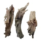 korzen-buddha-driftwood-s-kod-producenta-gs-korzen-buddha-driftwood-s