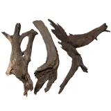 korzen-buddha-driftwood-xl