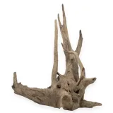korzen-buddy-old-tree-root-l-kod-producenta-rch-010