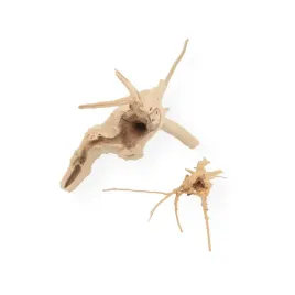 korzen-chinski-spider-wood-m