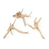 korzen-chinski-spider-wood-m-stan-nowy