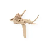korzen-chinski-spider-wood-m-kod-producenta-rb-007-stan-nowy