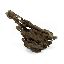 korzen-dragon-driftwood-l