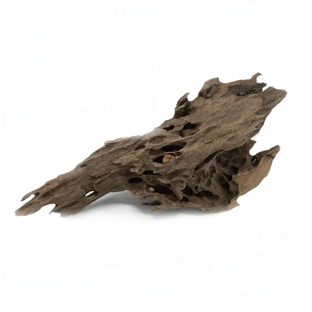 korzen-dragon-driftwood-l-kod-producenta-rch-012