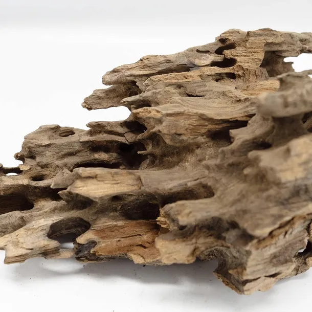 korzen-dragon-driftwood-l-stan-nowy-kod-producenta-rch-012