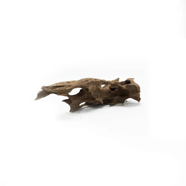 korzen-dragon-driftwood-m