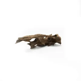korzen-dragon-driftwood-m