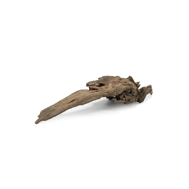 korzen-dragon-driftwood-m-stan-nowy
