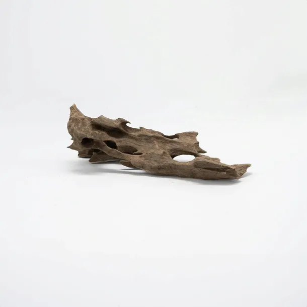 korzen-dragon-driftwood-m-kod-producenta-rch-012