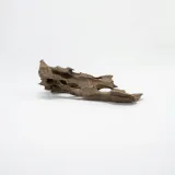 korzen-dragon-driftwood-m-kod-producenta-rch-012