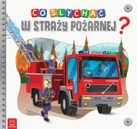 co-slychac-w-strazy-pozarnej-praca-zbiorowa