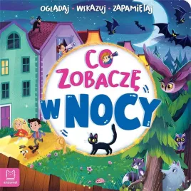 co-zobacze-w-nocy-ogladaj-wskazuj-zapamietuj