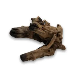 korzen-hard-driftwood-l