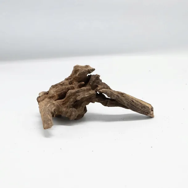 korzen-hard-driftwood-m-kod-producenta-rch-013