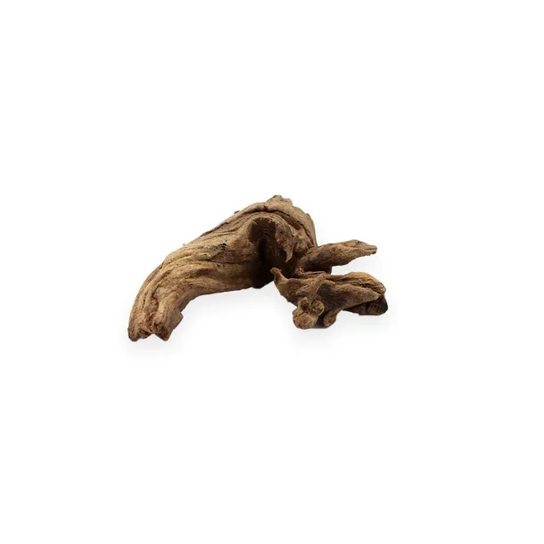 korzen-hard-driftwood-m-kod-producenta-rch-013-stan-nowy