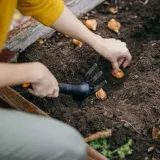 motyczka-solid-marka-fiskars