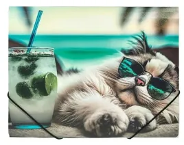 teczka-a4-pp-na-gumke-z-nadrukiem-chillout-cat
