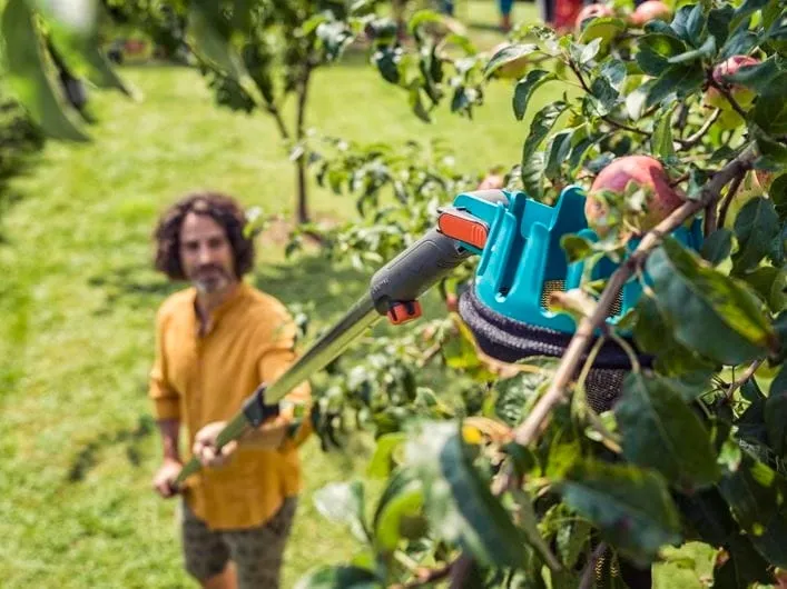 zbierak-do-owocow-cs-marka-gardena