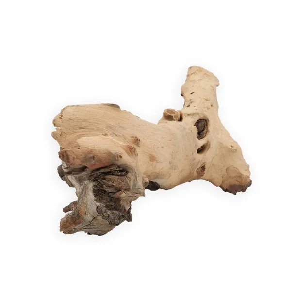 korzen-mopani-m-kod-producenta-km-002