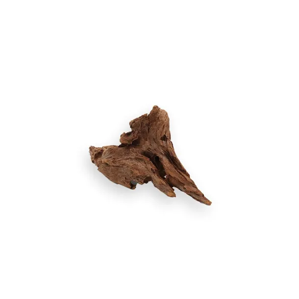 korzen-mangrowca-xs-kod-producenta-km-007-stan-nowy