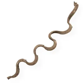 liana-spiralna-z-lasow-tropikalnych-brazylii-100-cm