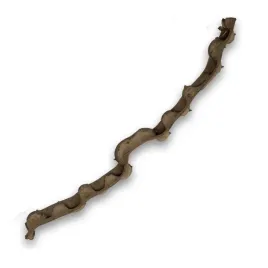 liana-spiralna-z-lasow-tropikalnych-brazylii-gruba-50cm