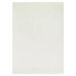 dywan-agra-300x400-petelkowy-splot-modny-elegancki-z-fredzlami-kremowy-v4