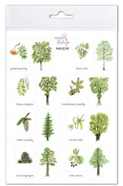 naklejki-drzewa-2