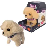 twoj-pupilek-piessek