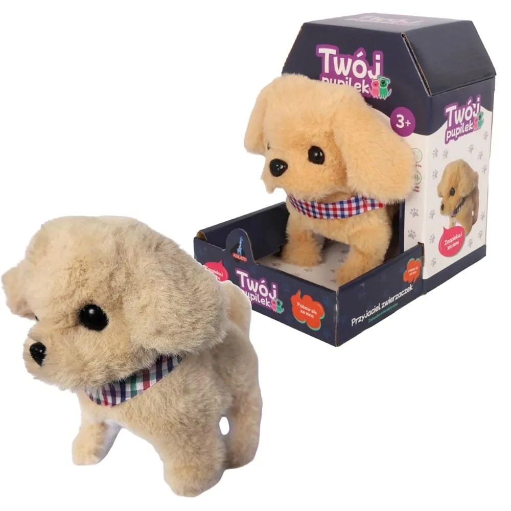 twoj-pupilek-piessek