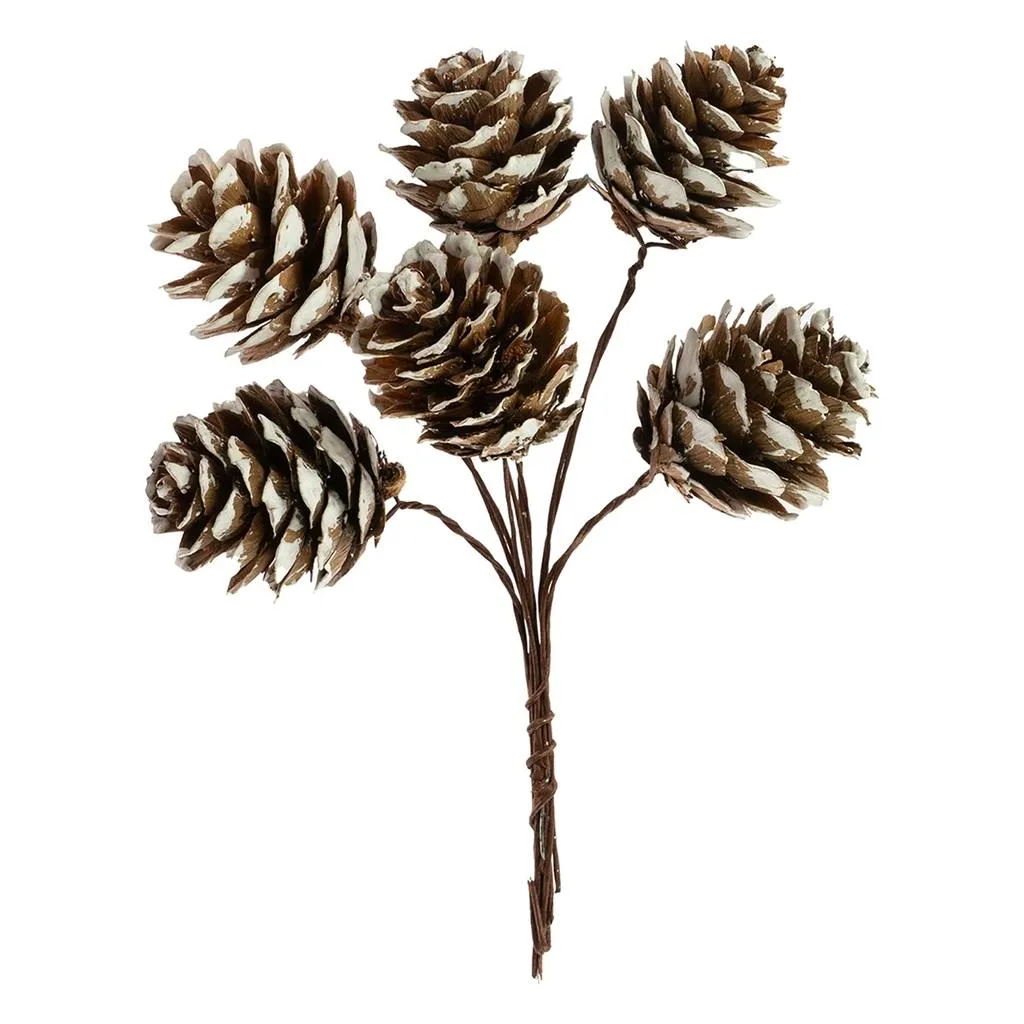 szyszki-na-druciku