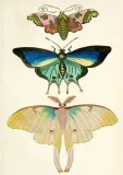 karnet-b6-z-koperta-cmy