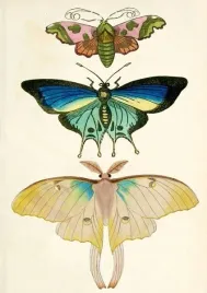 karnet-b6-z-koperta-cmy