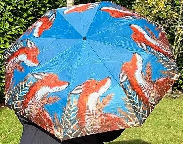 parasolka-lis