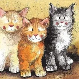 karnet-ac323-koty-rodger-dodger-i-tinkerbell