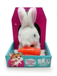 krolik-chodzacy-z-marchewka