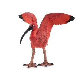 ibis-szkarlatny