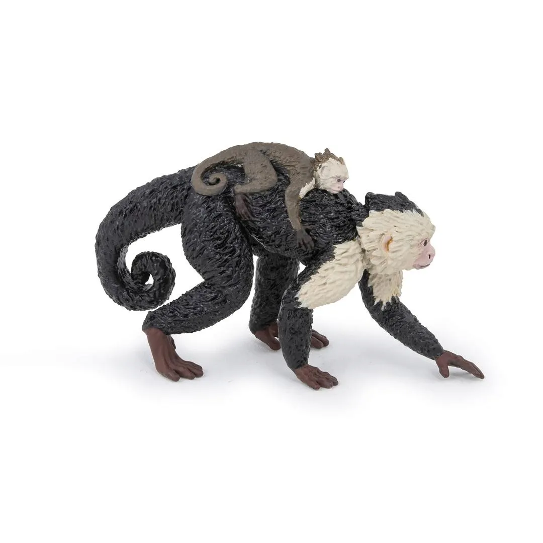 kapucynka
