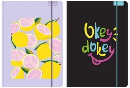 teczka-z-gumka-a4-priplak-mix