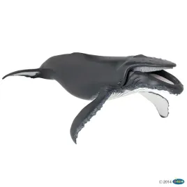 humbak