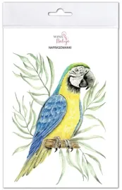 naprasowanki-ara-niebiesko-zolta