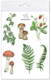 naprasowanki-przyroda-w-lesie