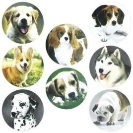 naklejki-papierowe-na-tasmie-psy-500szt