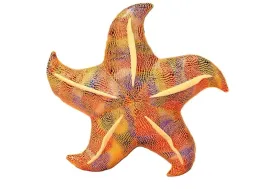 poduszka-pluszowa-rozwgwiazda-zolta-20cm